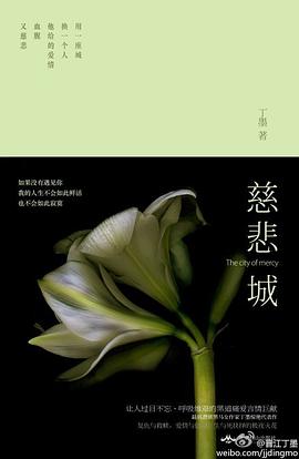 慈悲城经典语录
