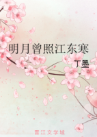 明月曾照江东寒经典语录
