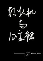 打火机与公主裙经典语录