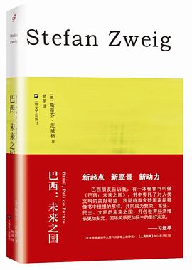 巴西：未来之国经典语录