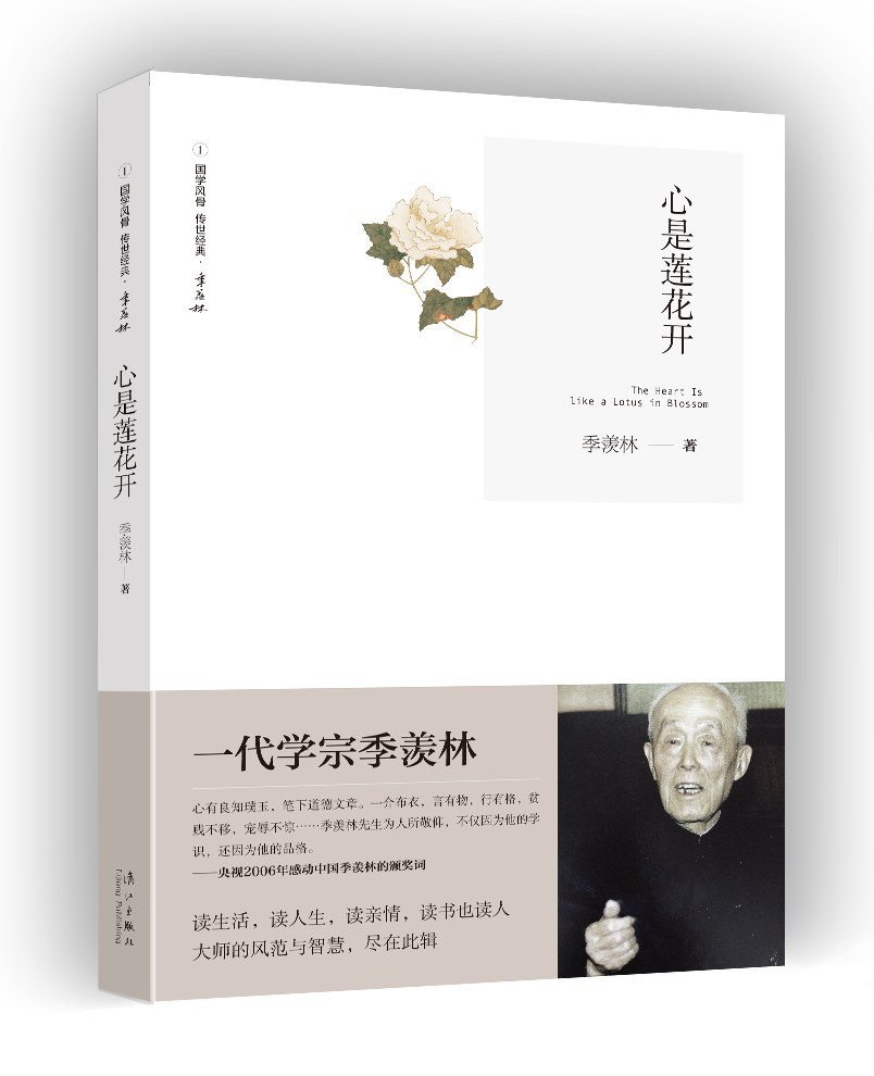 心是莲花开经典语录