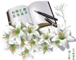心田上的百合花开经典语录