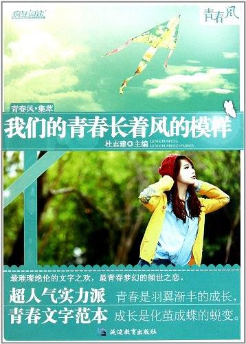 我们的青春长着风的模样经典语录