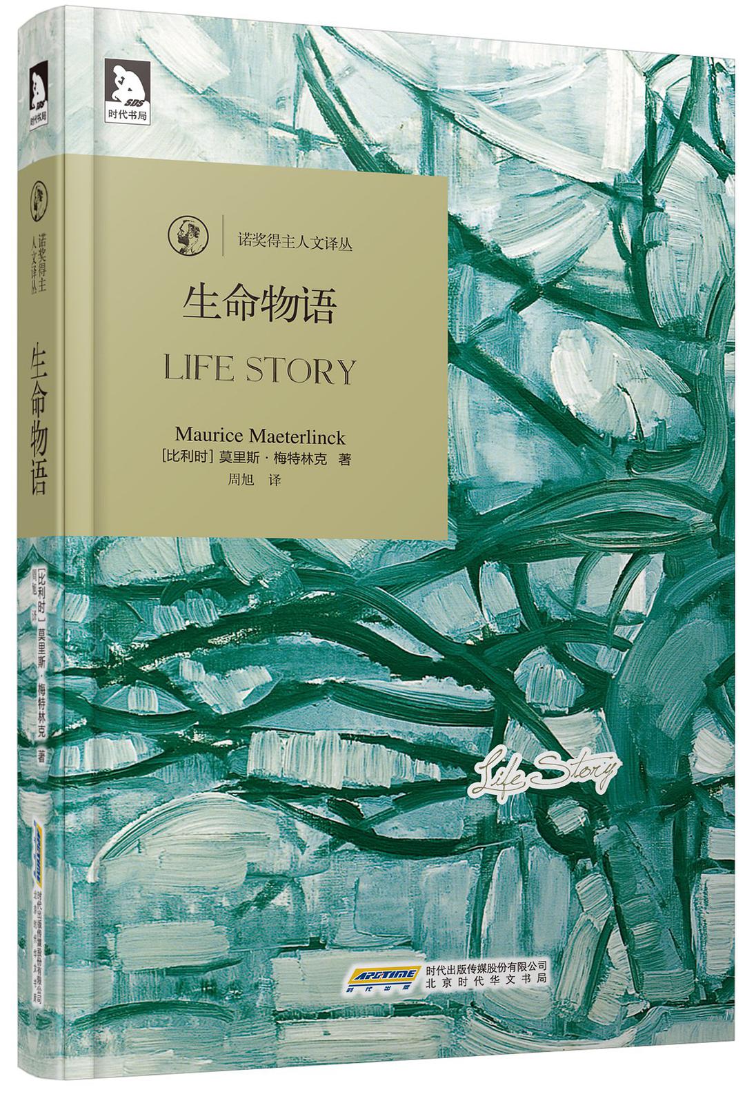 为何你总是会受伤经典语录