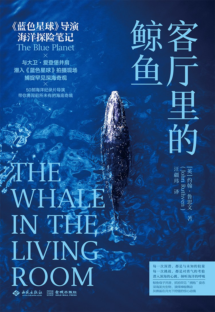 客厅里的鲸鱼经典语录/名句