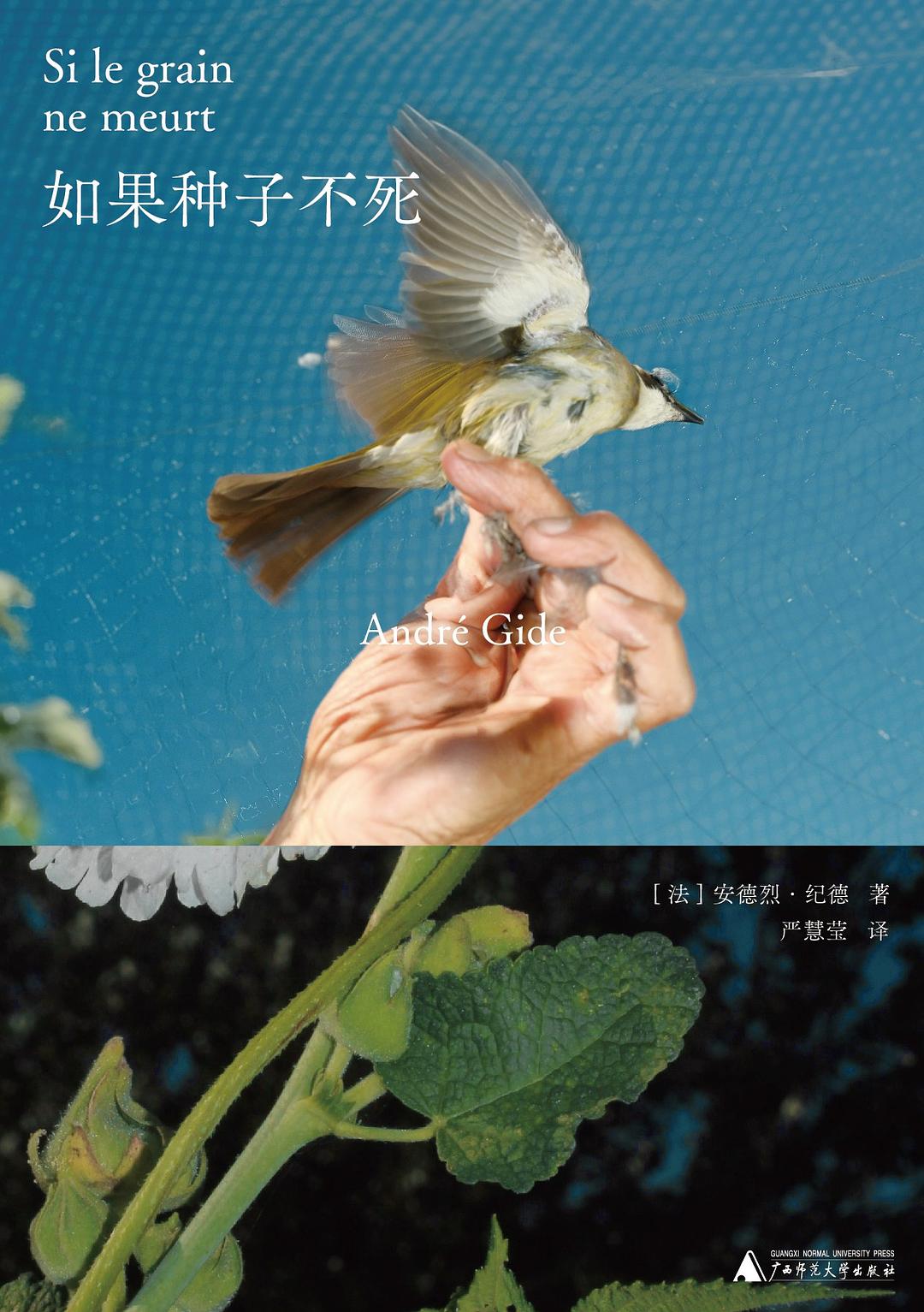 如果种子不死经典语录/名句