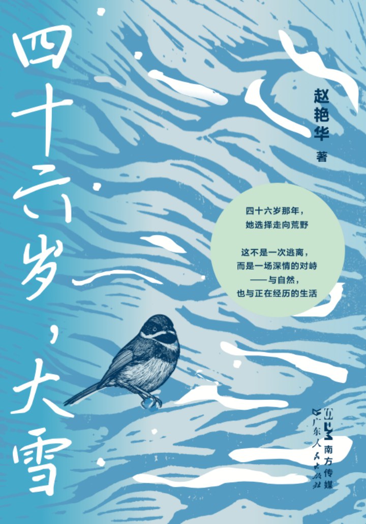 四十六岁，大雪经典语录/名句