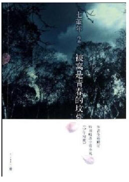 被窝是青春的坟墓经典语录