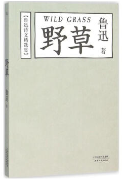 野草经典语录