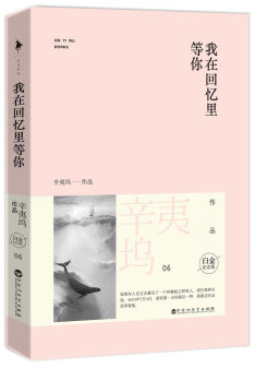 我在回忆里等你