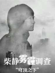 穹顶之下经典语录