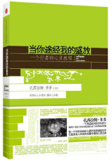 当你途经我的盛放经典语录