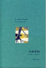 木麻黄树经典语录