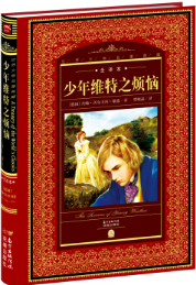 少年维特之烦恼