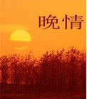 晚情